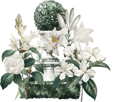 Ornament
